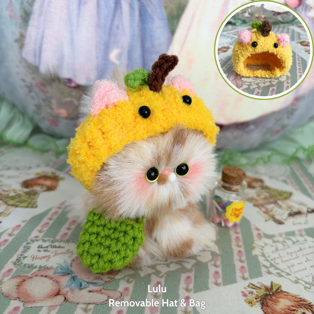 Fluffy Hoodie Kittens