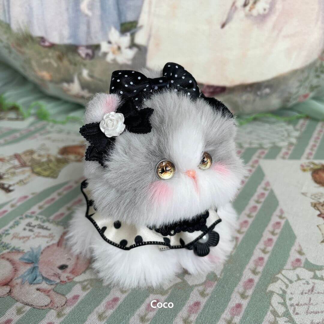 Fairy Paws Collection