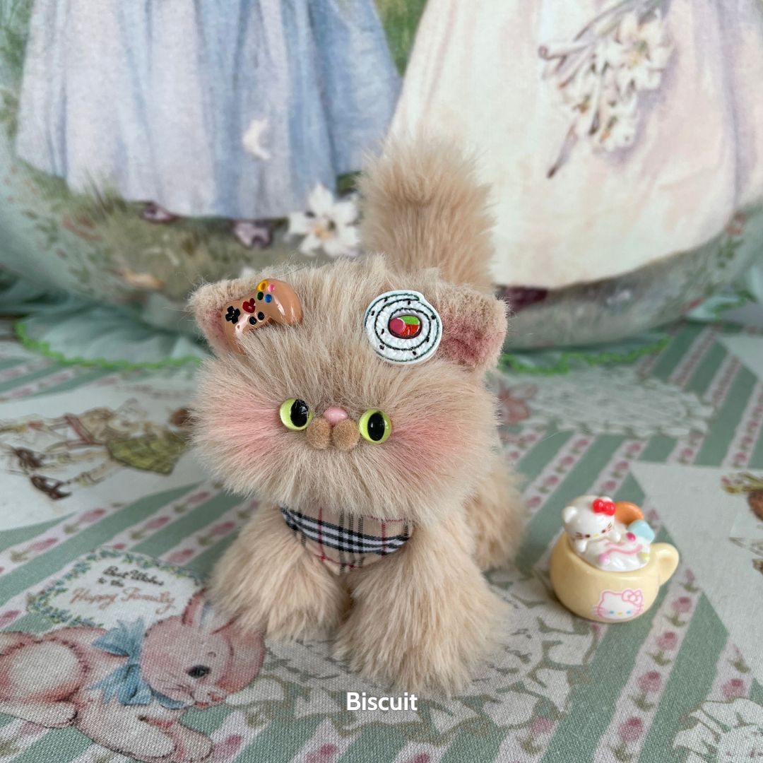 Brown Kitten Collection