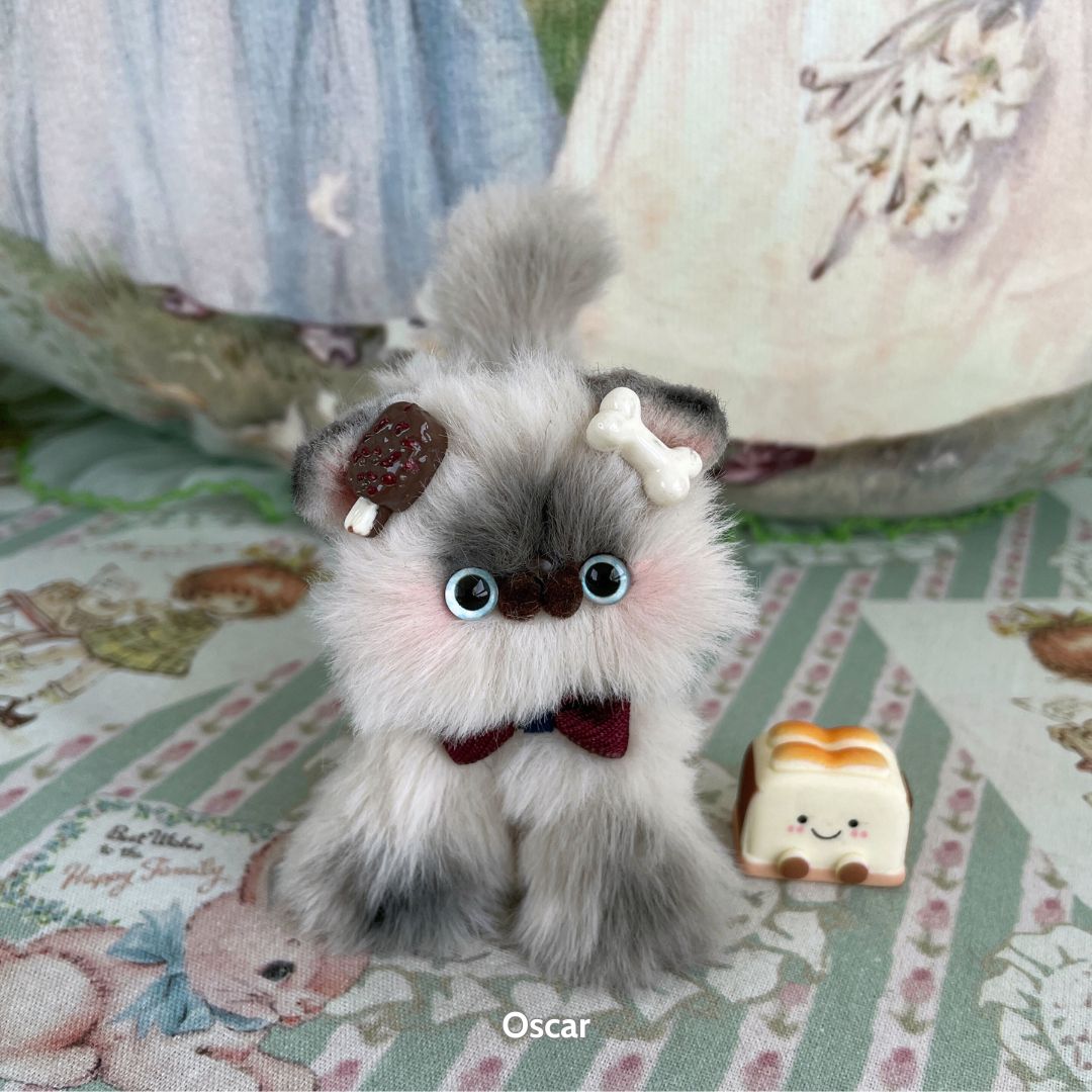 Adorable Kitten Collection