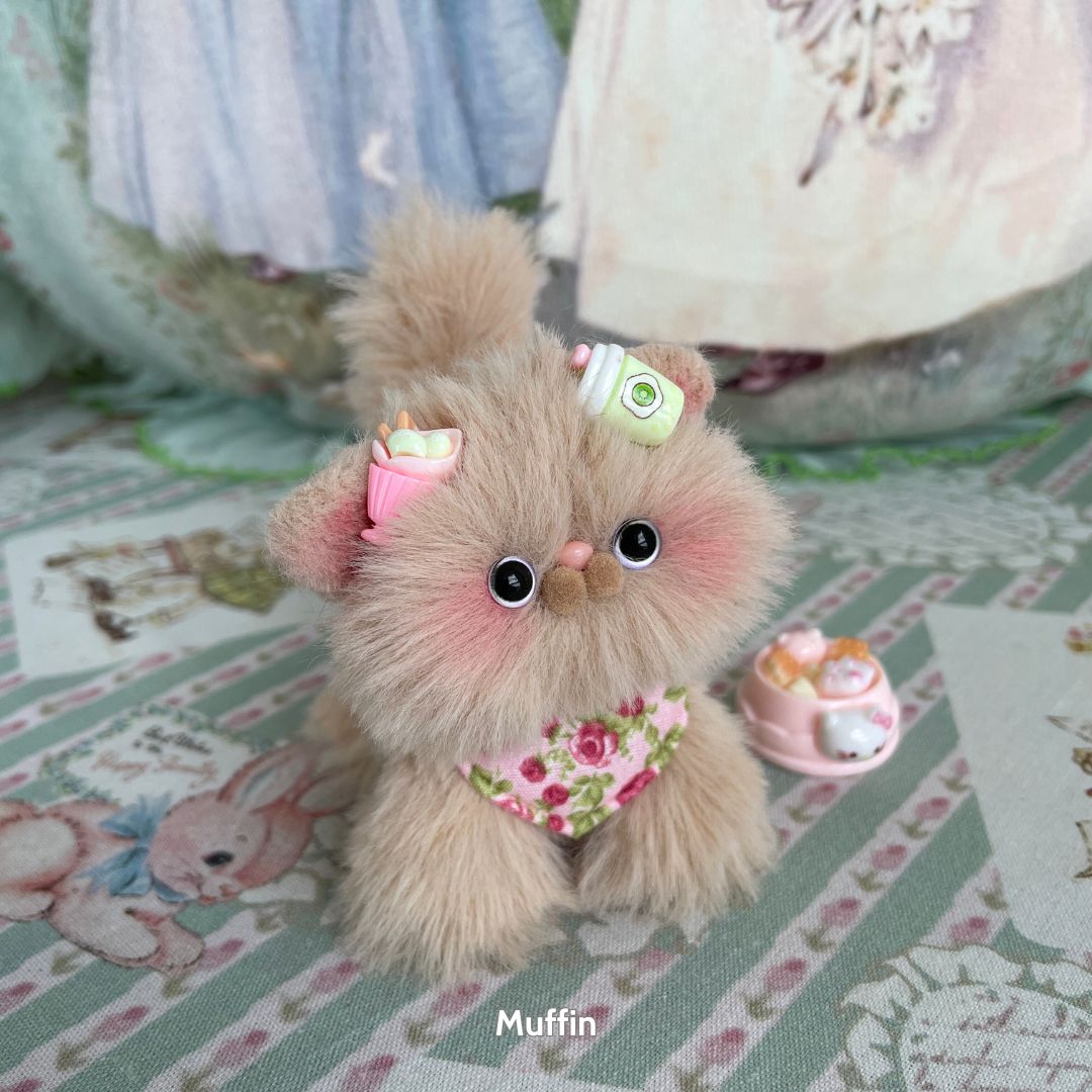 Brown Kitten Collection