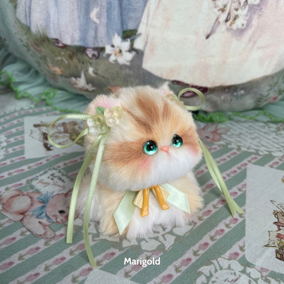 Blossom Kitten Collection