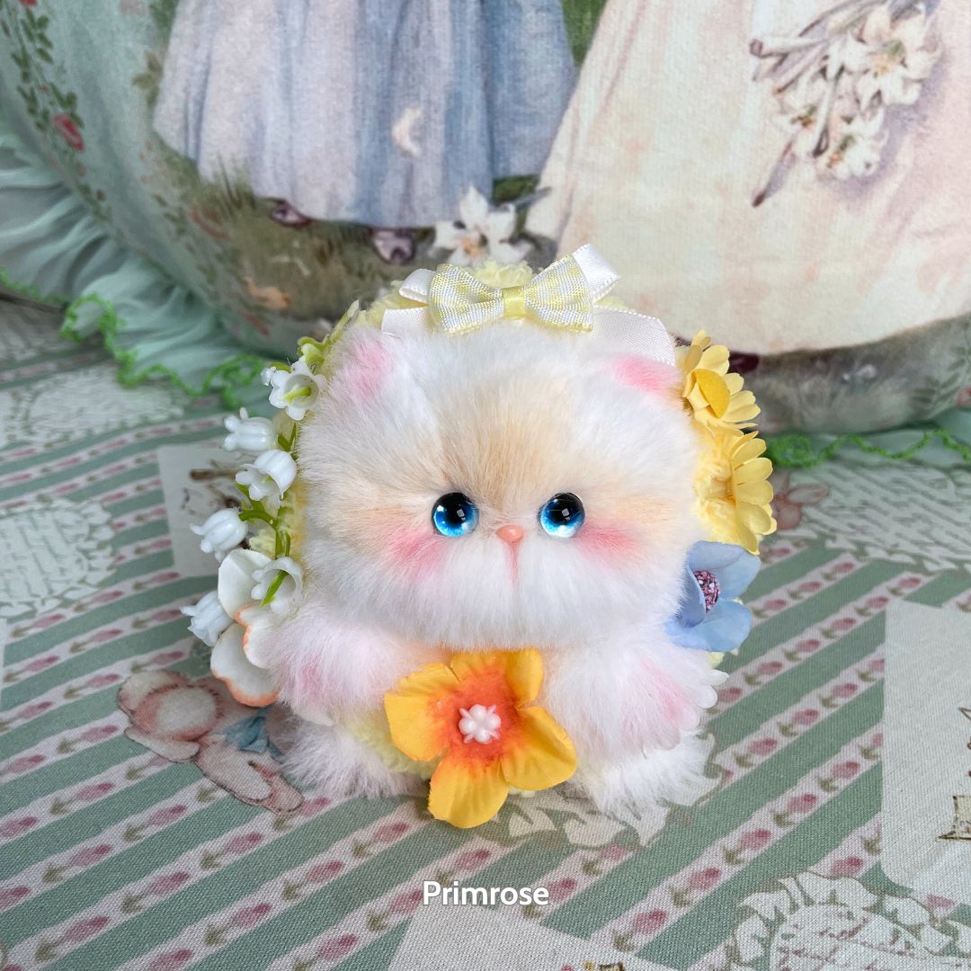 Blossom Kitten Collection