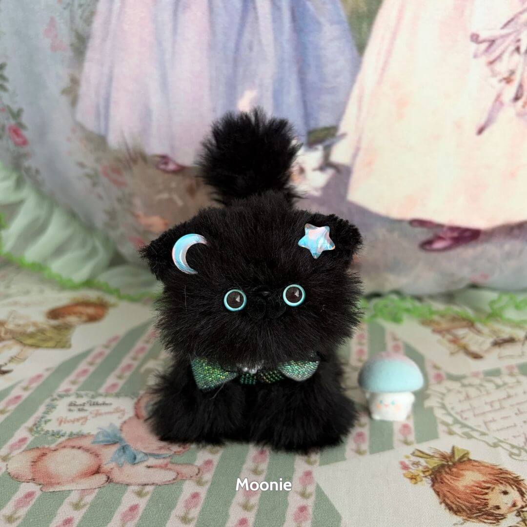 Black Kitten Collection