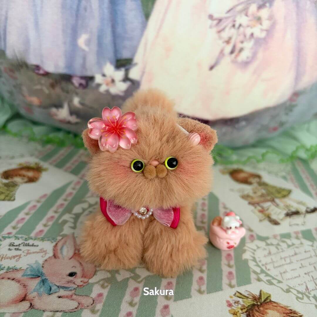 Brown Kitten Collection
