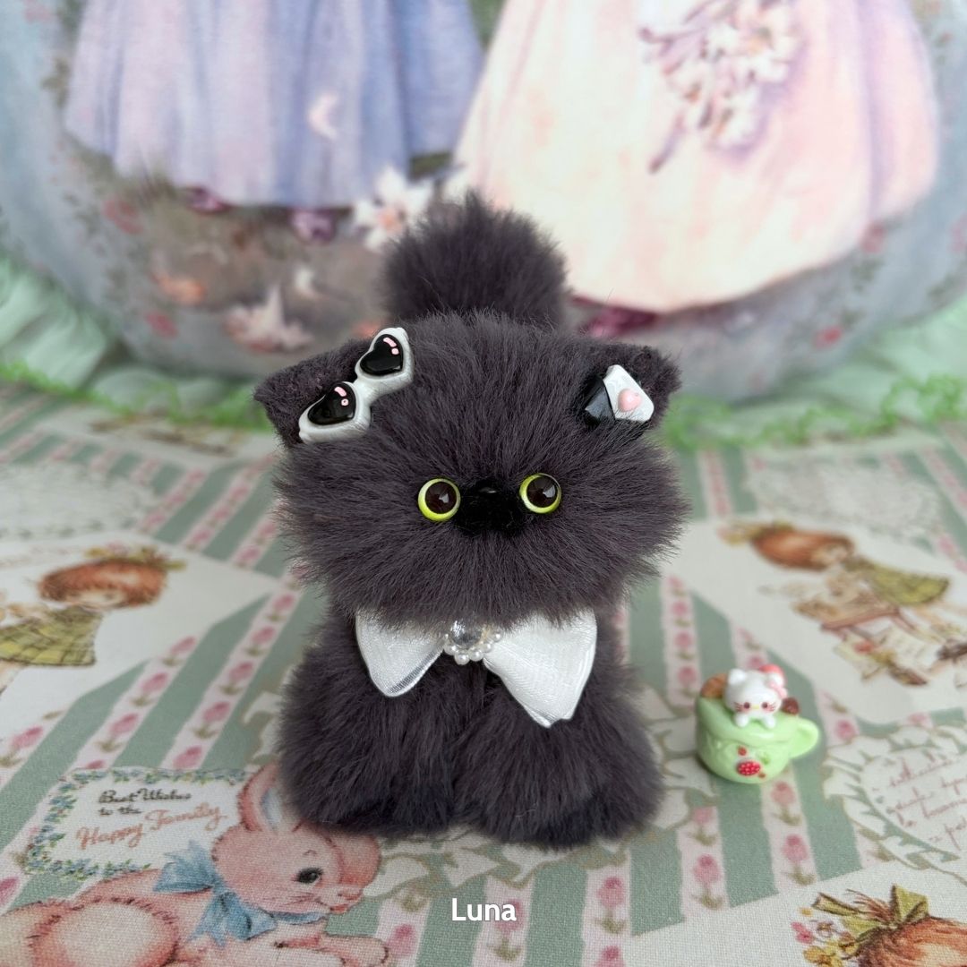 Grey Kitten Collection
