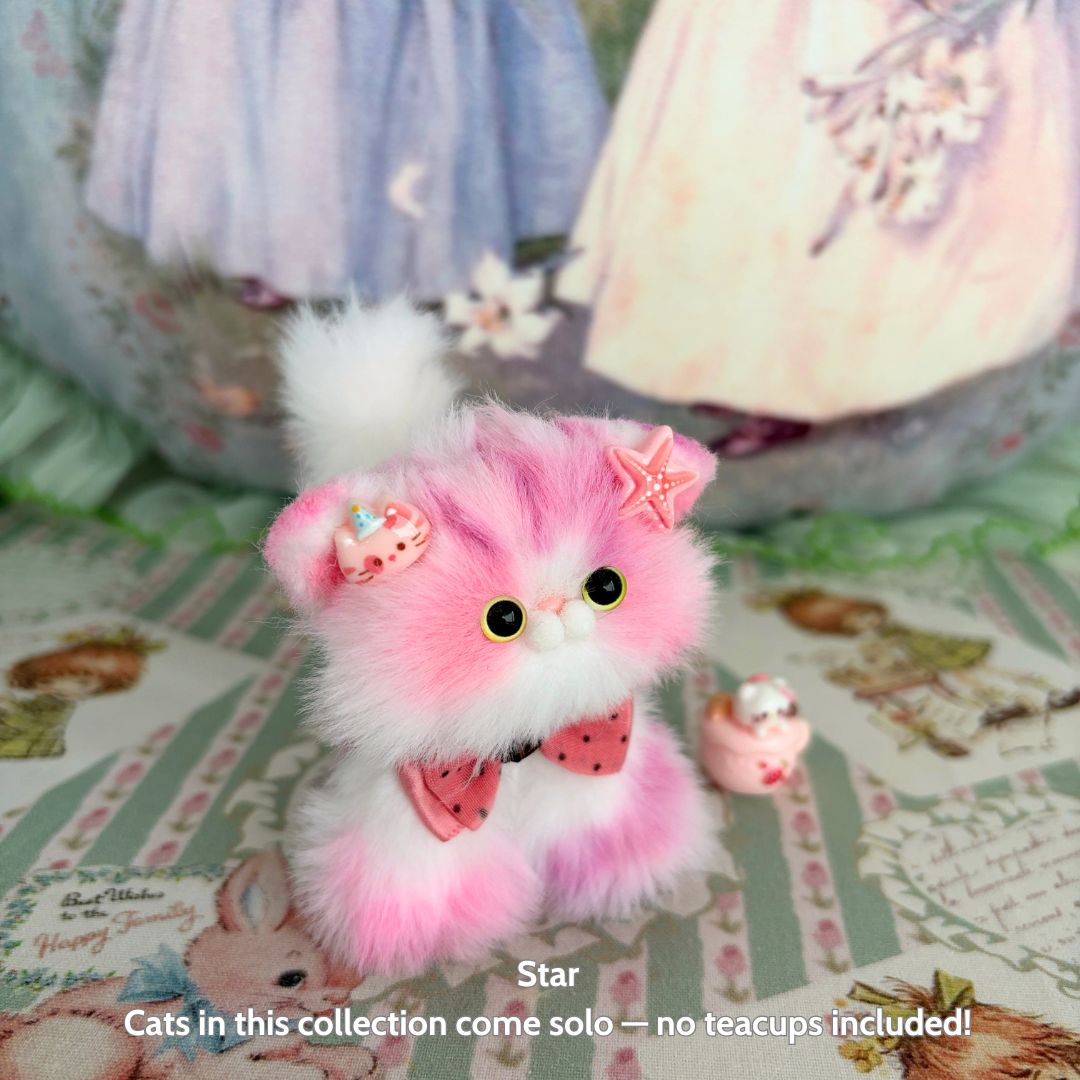 Sweet Dreams Kitten Collection