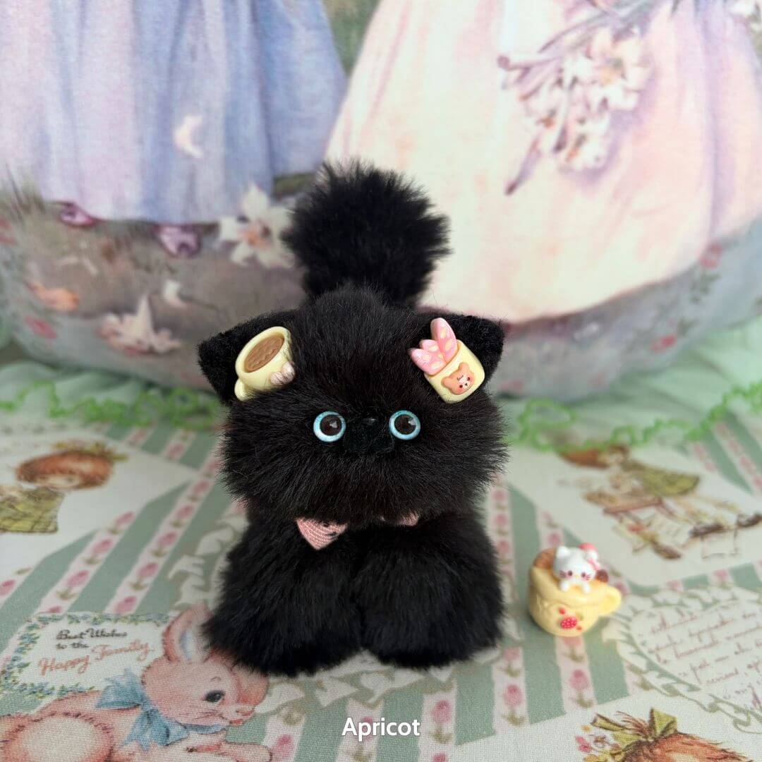 Black Kitten Collection