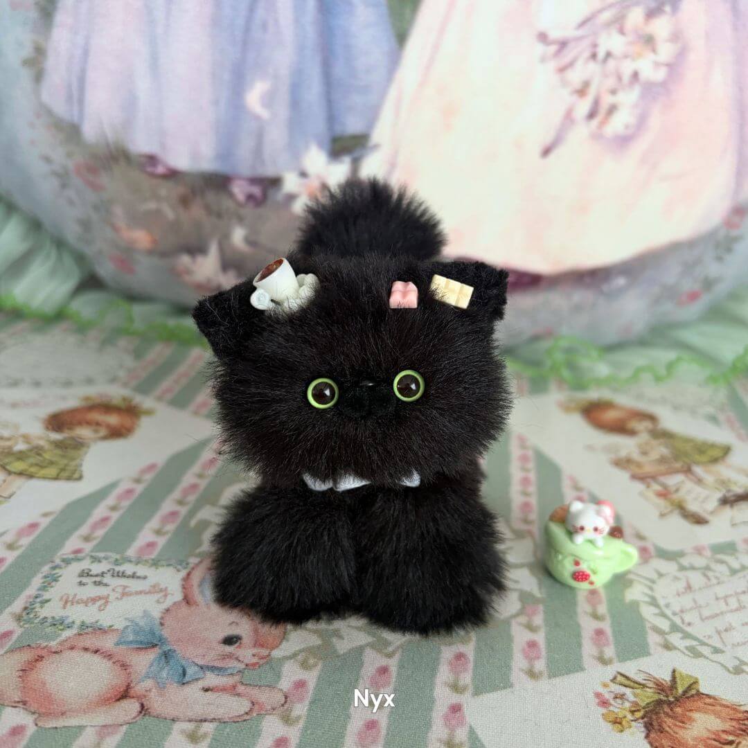 Black Kitten Collection