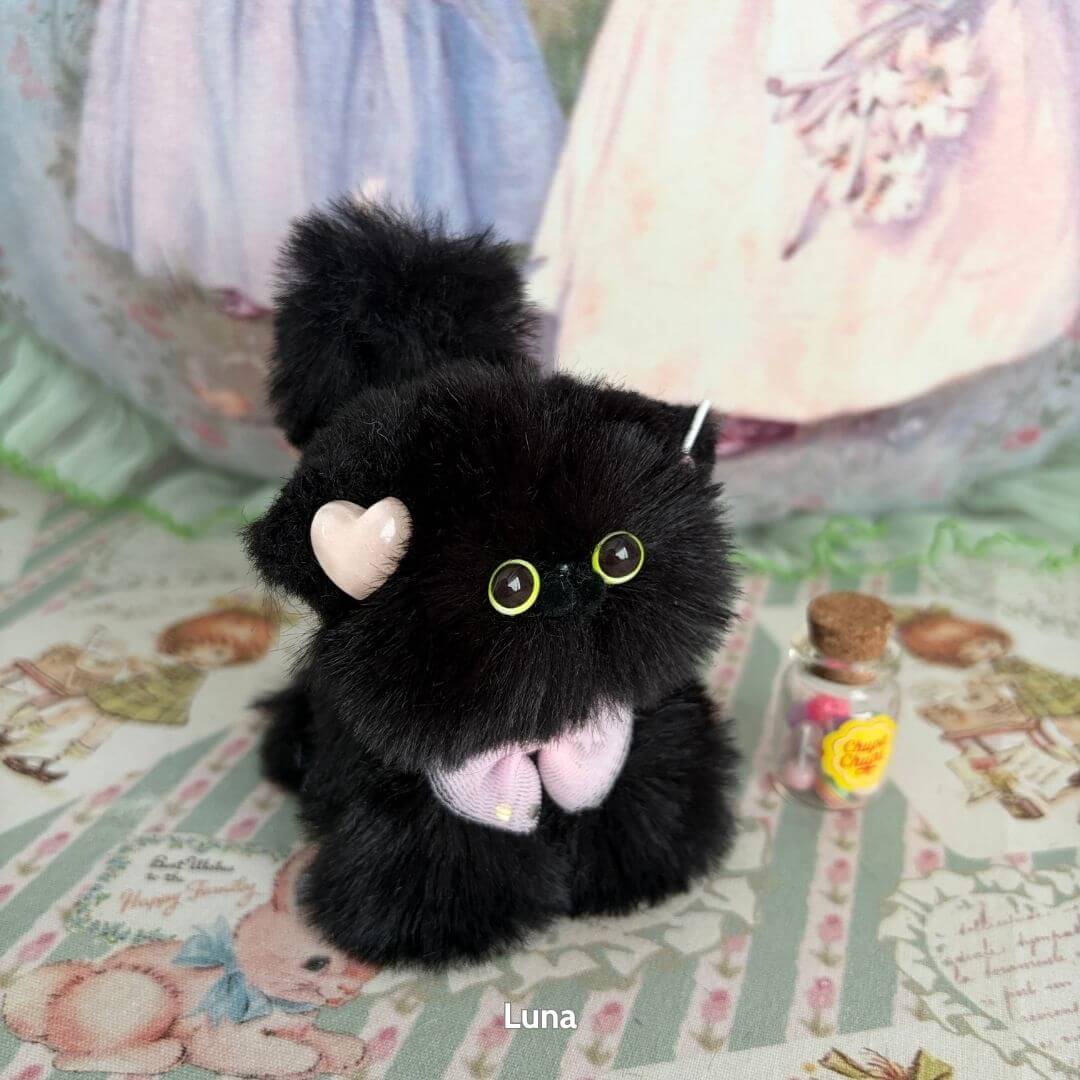 Fluffy Kitten Collection