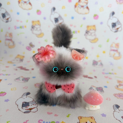Adorable Kitten Collection