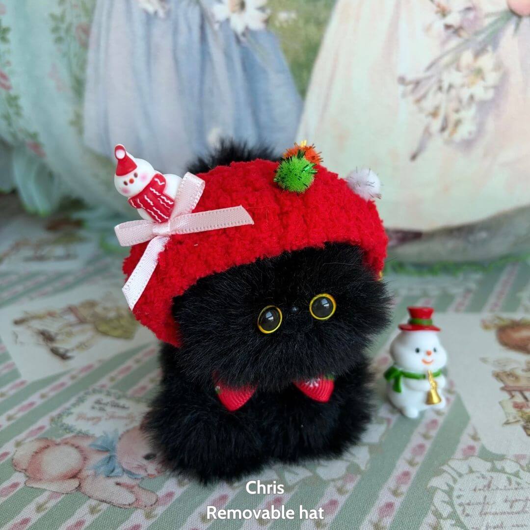 Fluffy Hoodie Kittens