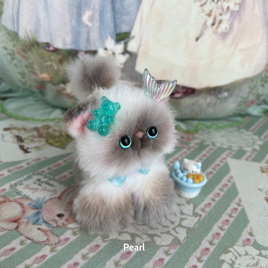 Adorable Kitten Collection