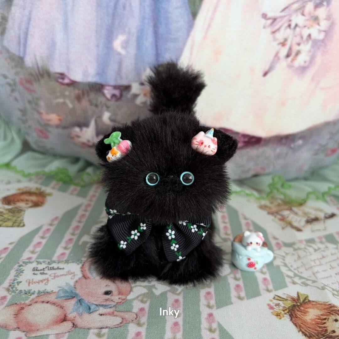 Black Kitten Collection