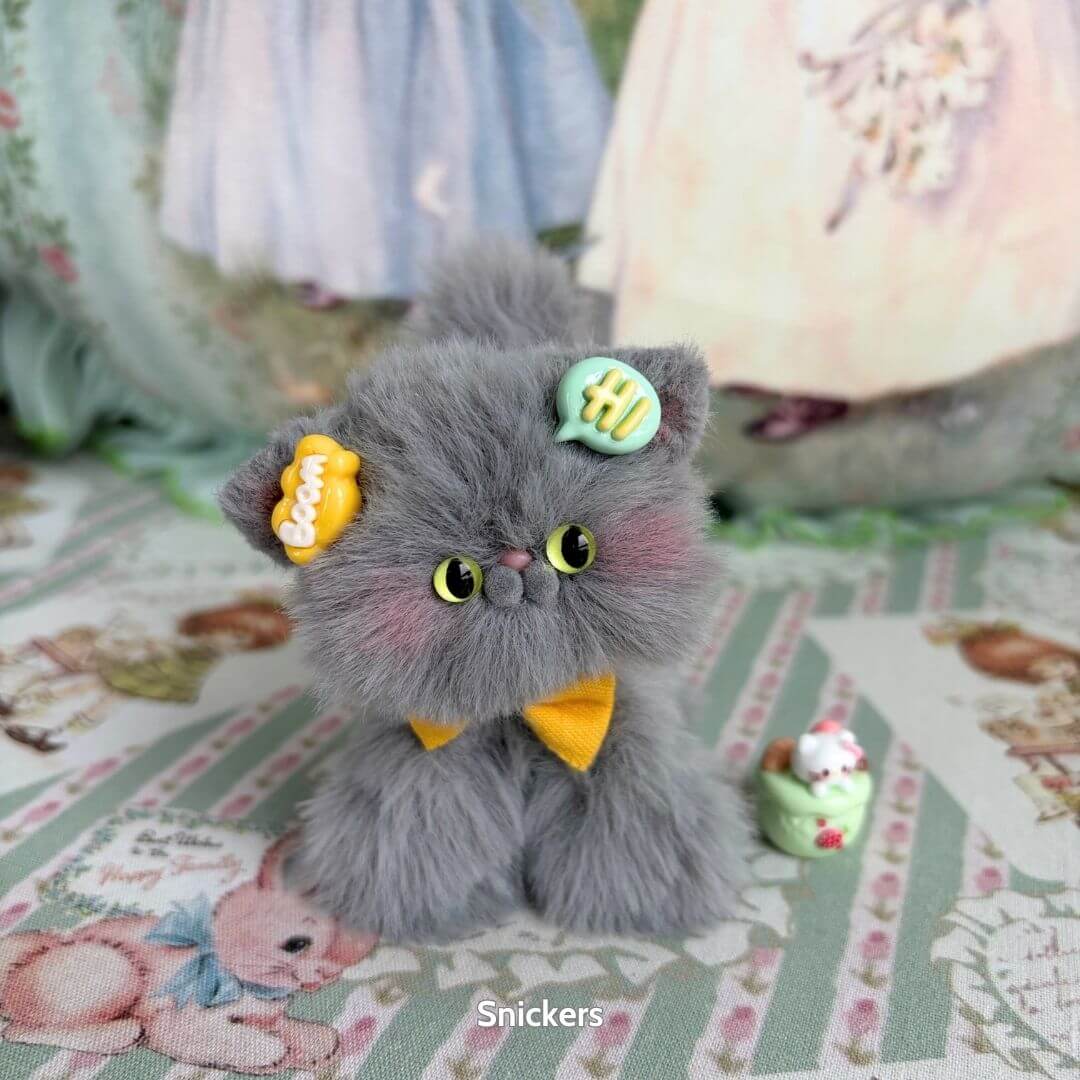 Grey Kitten Collection