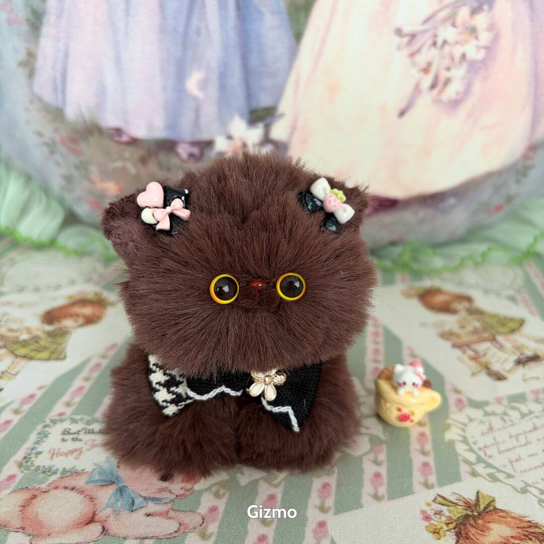 Fluffy Kitten Collection