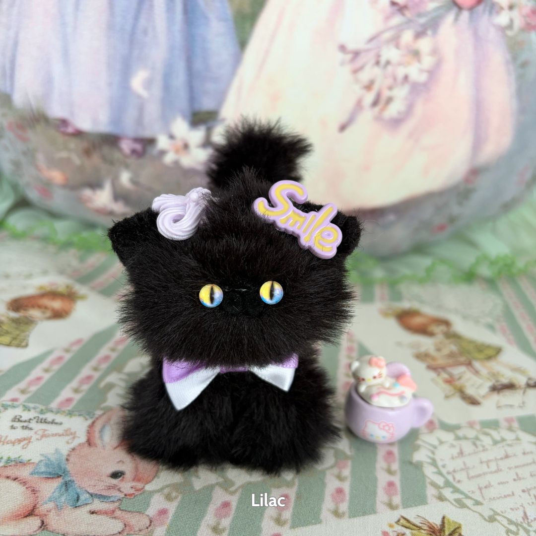 Black Kitten Collection