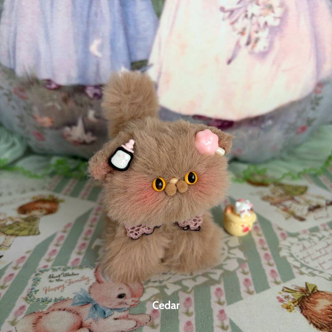Brown Kitten Collection