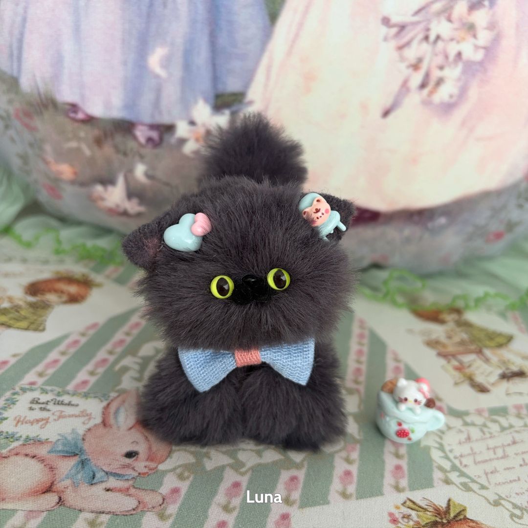 Grey Kitten Collection