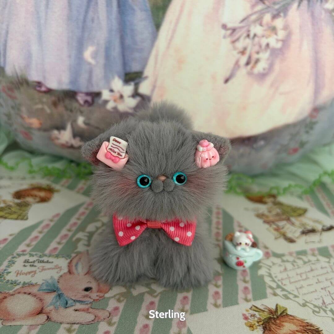 Grey Kitten Collection