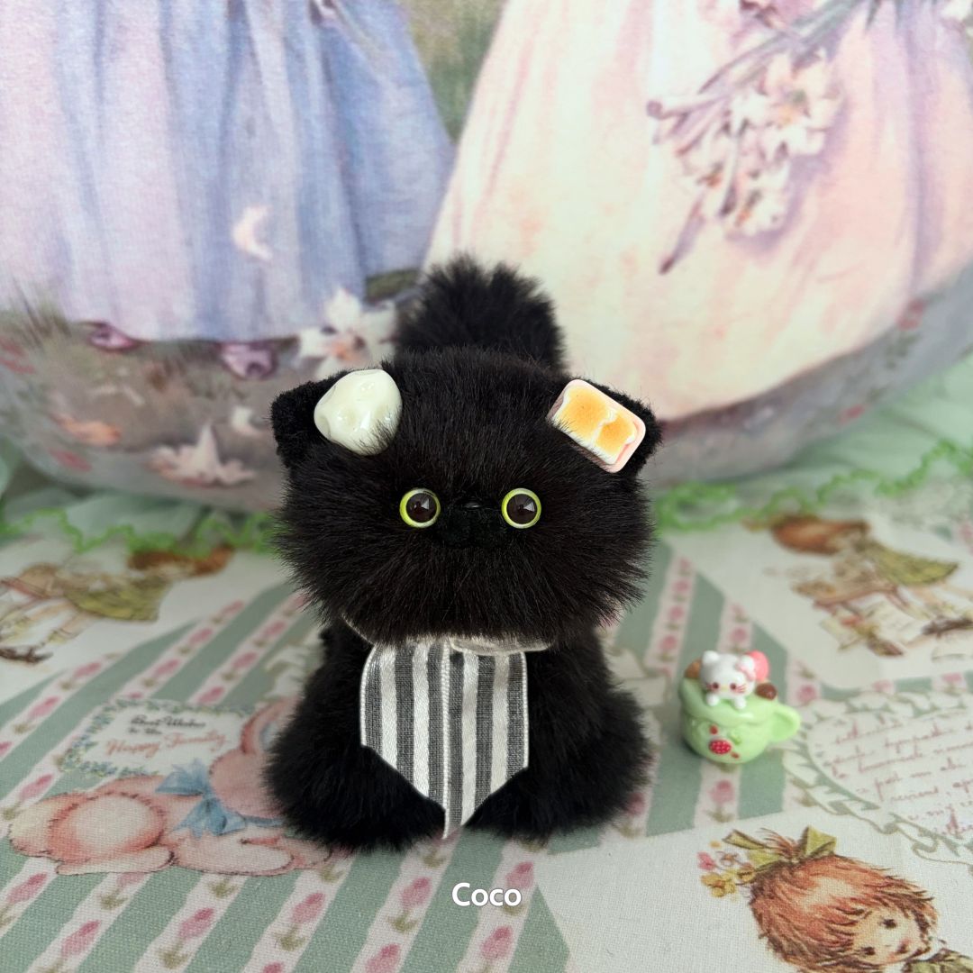 Black Kitten Collection