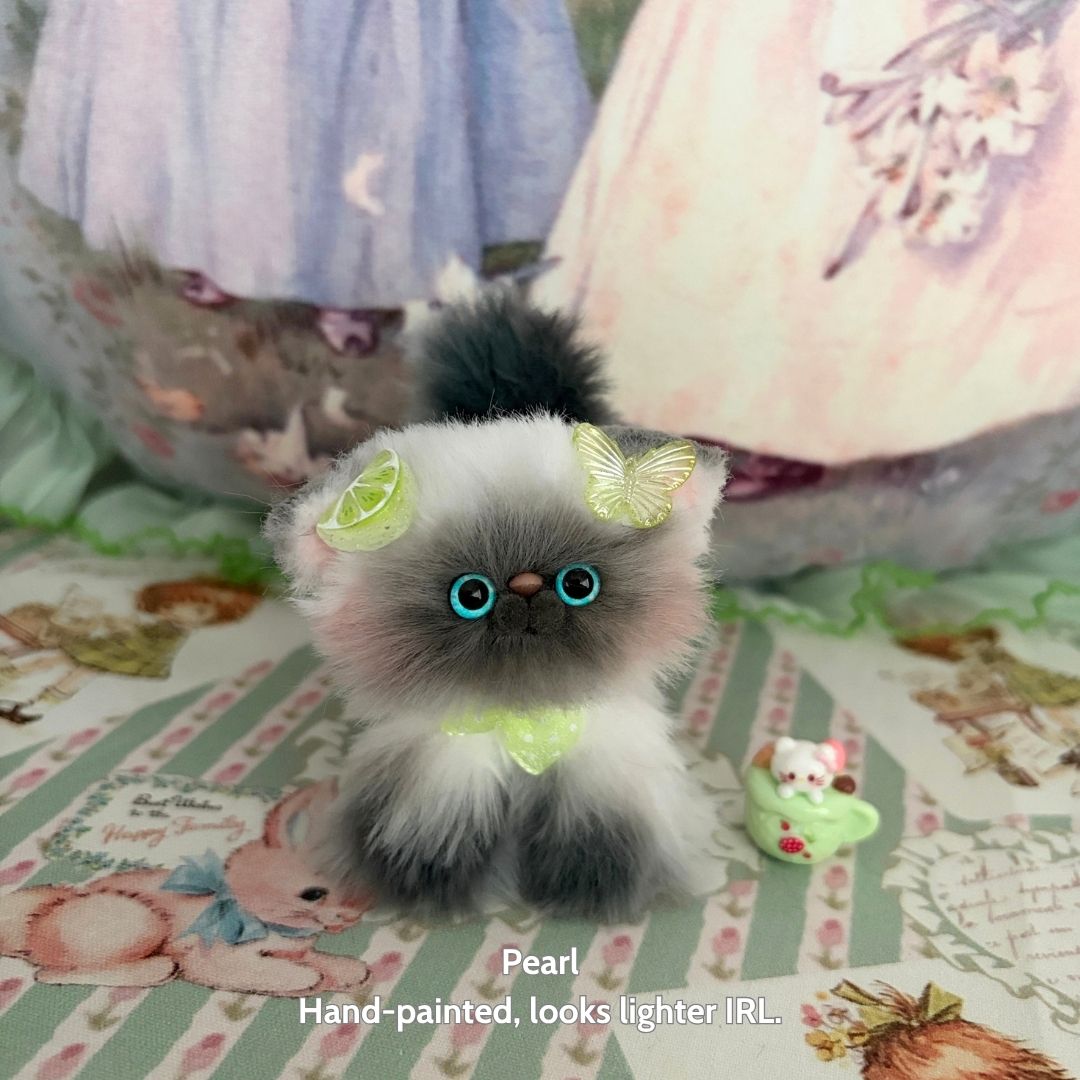 Adorable Kitten Collection