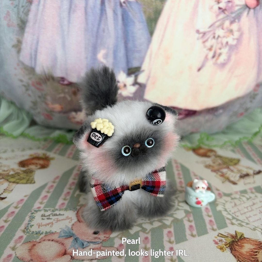 Adorable Kitten Collection