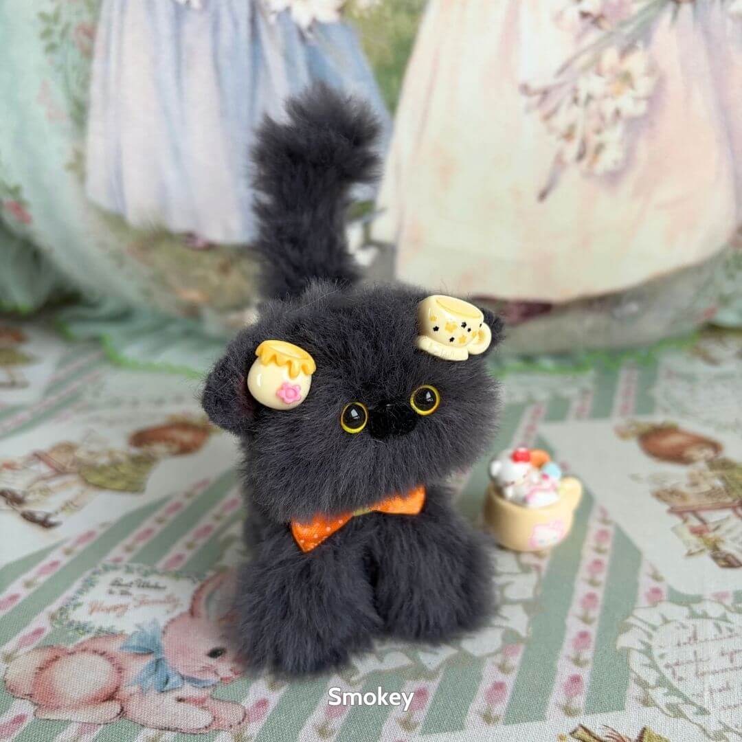 Grey Kitten Collection