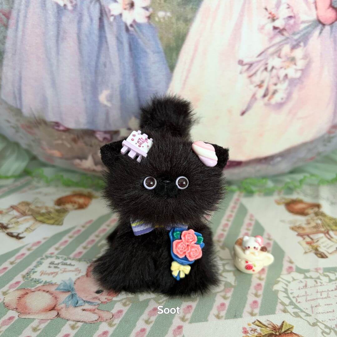 Black Kitten Collection