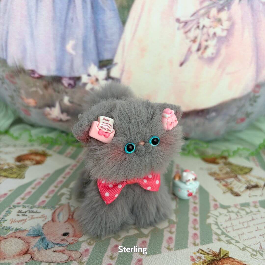 Grey Kitten Collection