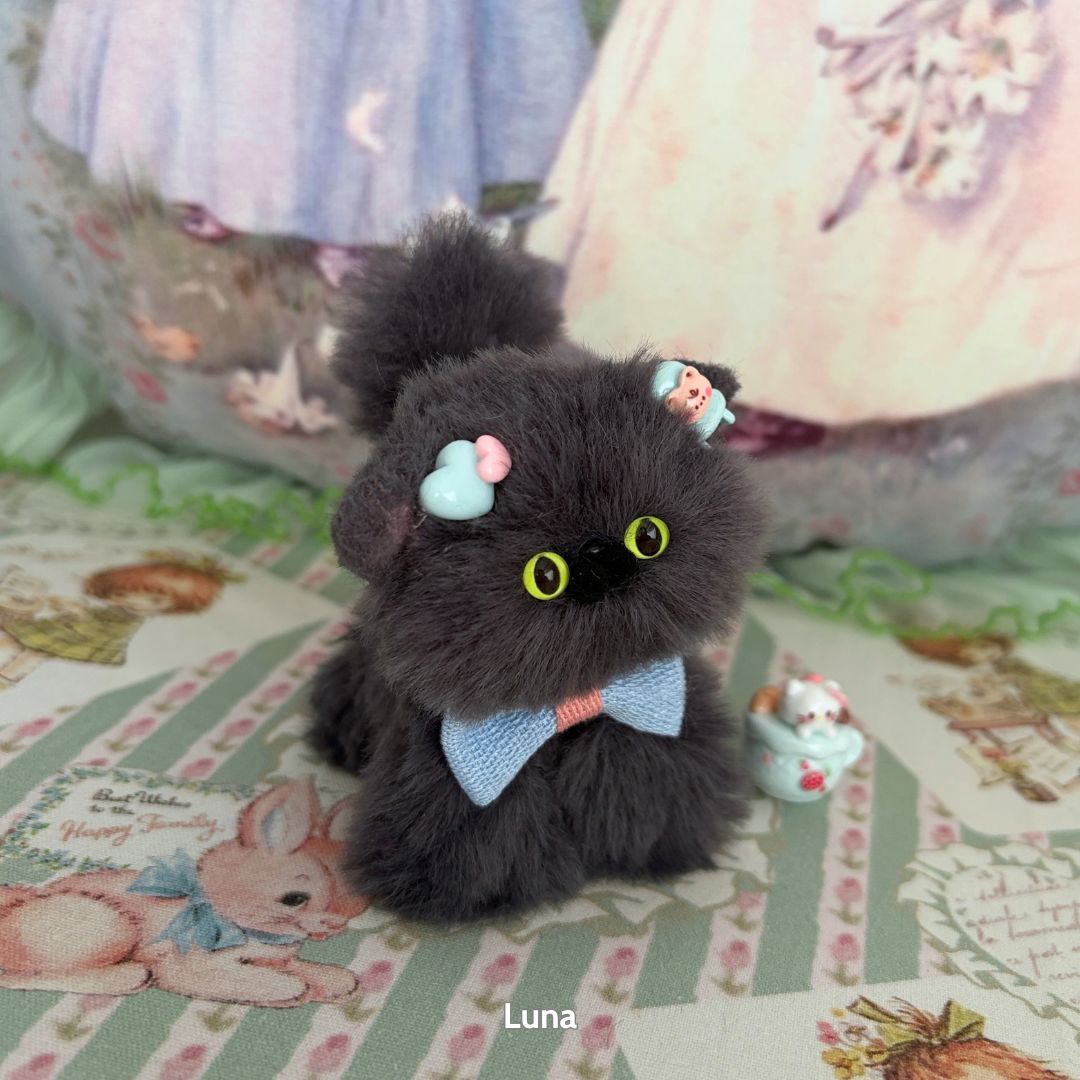 Grey Kitten Collection