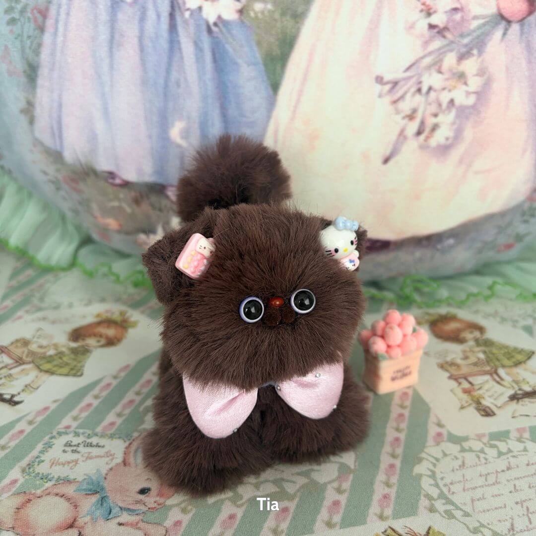 Fluffy Kitten Collection