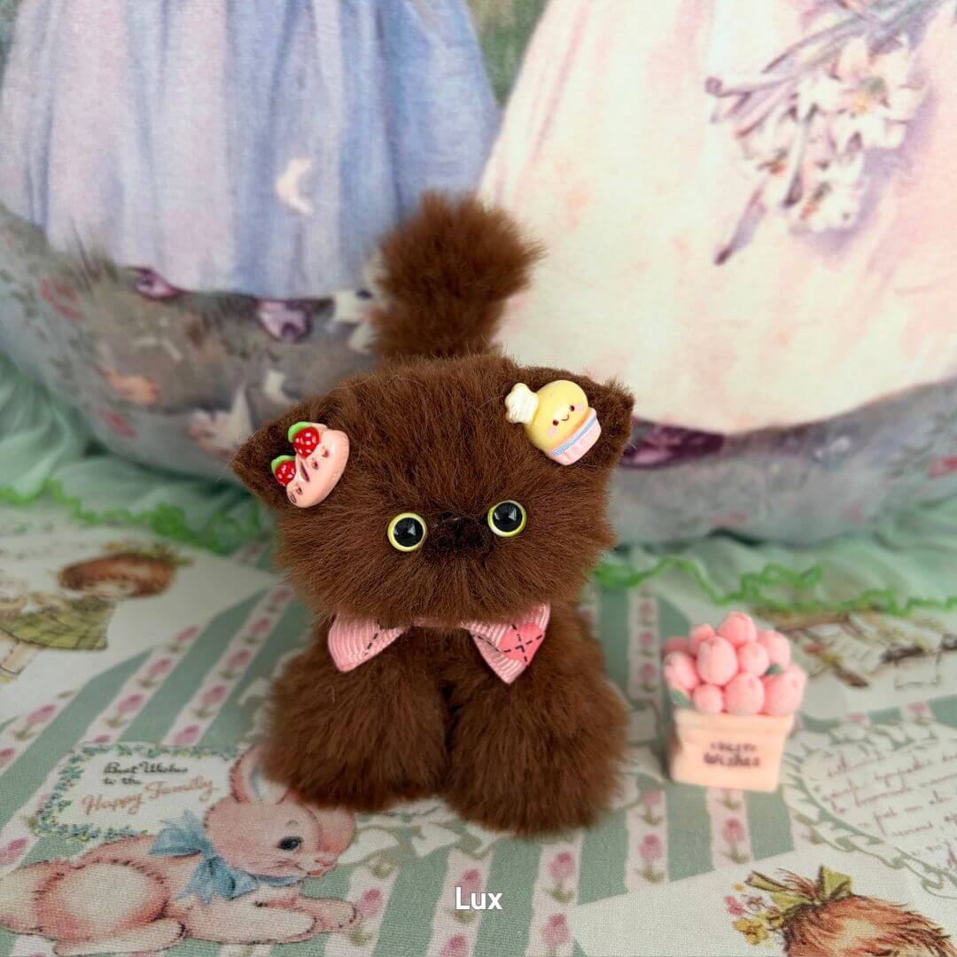 Brown Kitten Collection