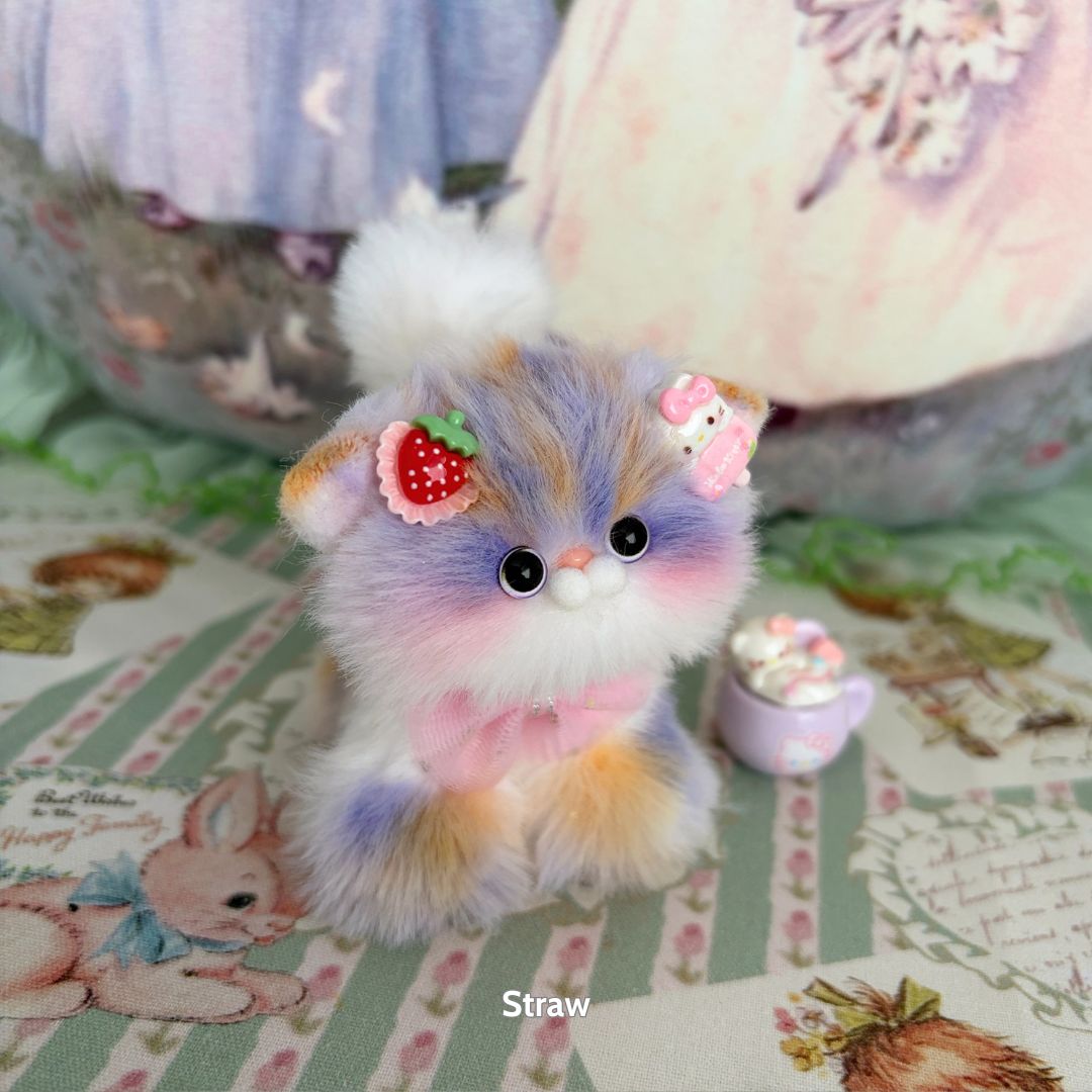 Sweet Dreams Kitten Collection