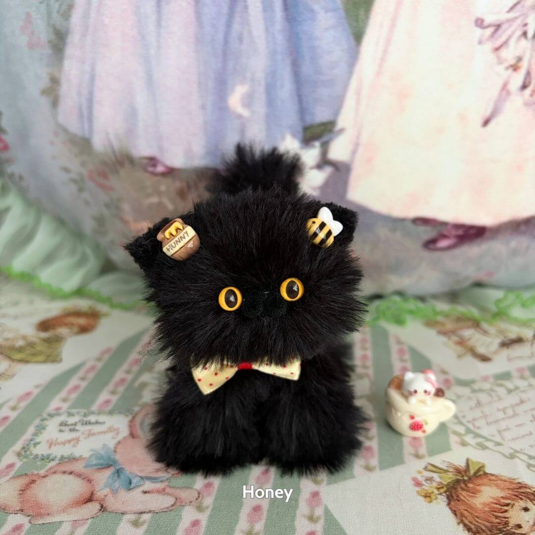 Black Kitten Collection