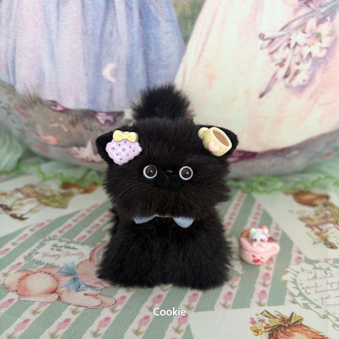 Black Kitten Collection