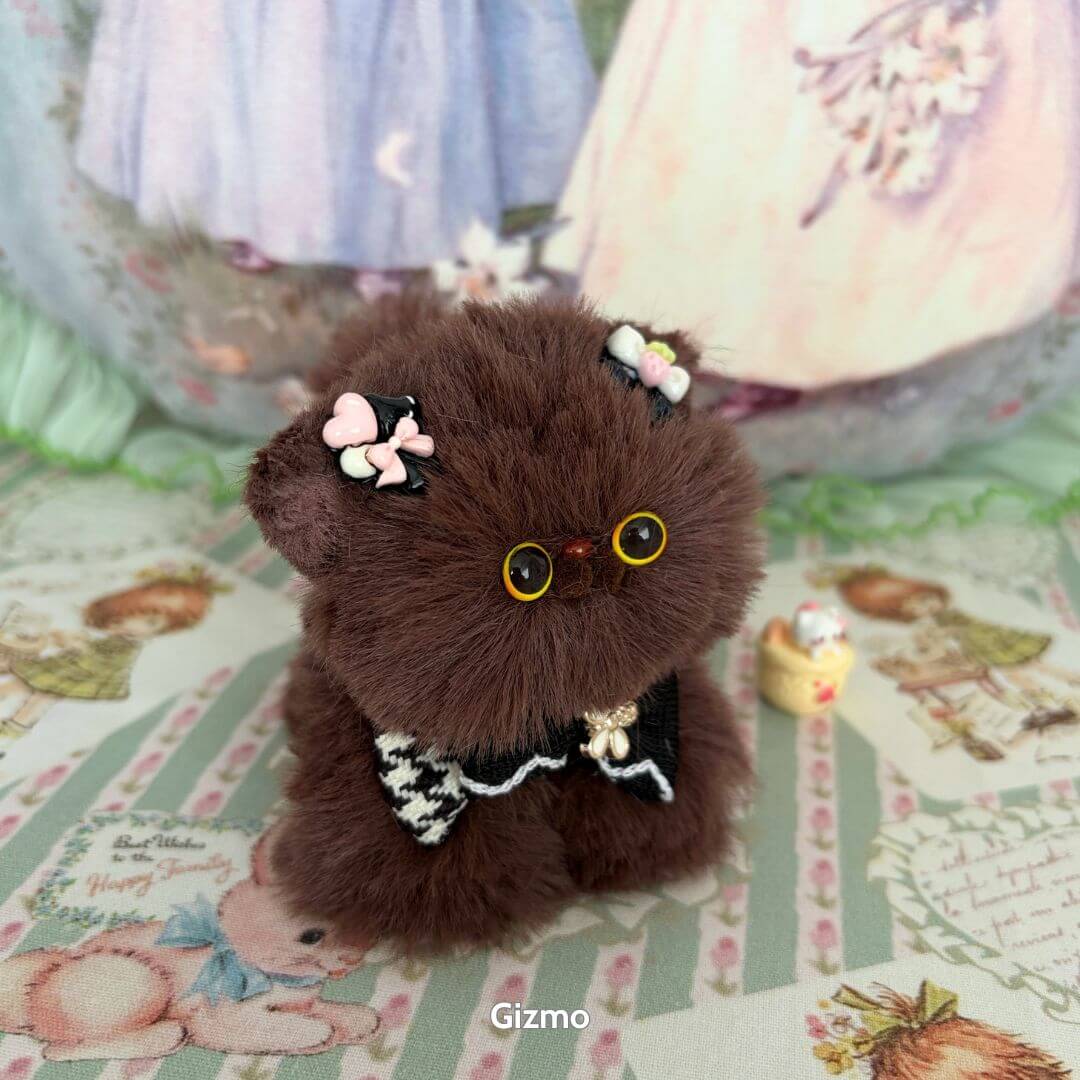 Fluffy Kitten Collection