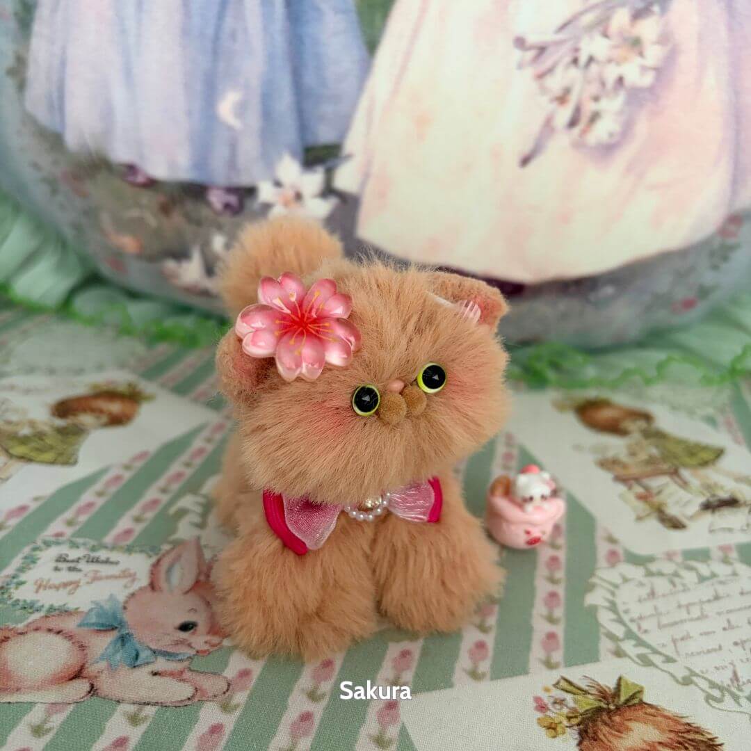Brown Kitten Collection