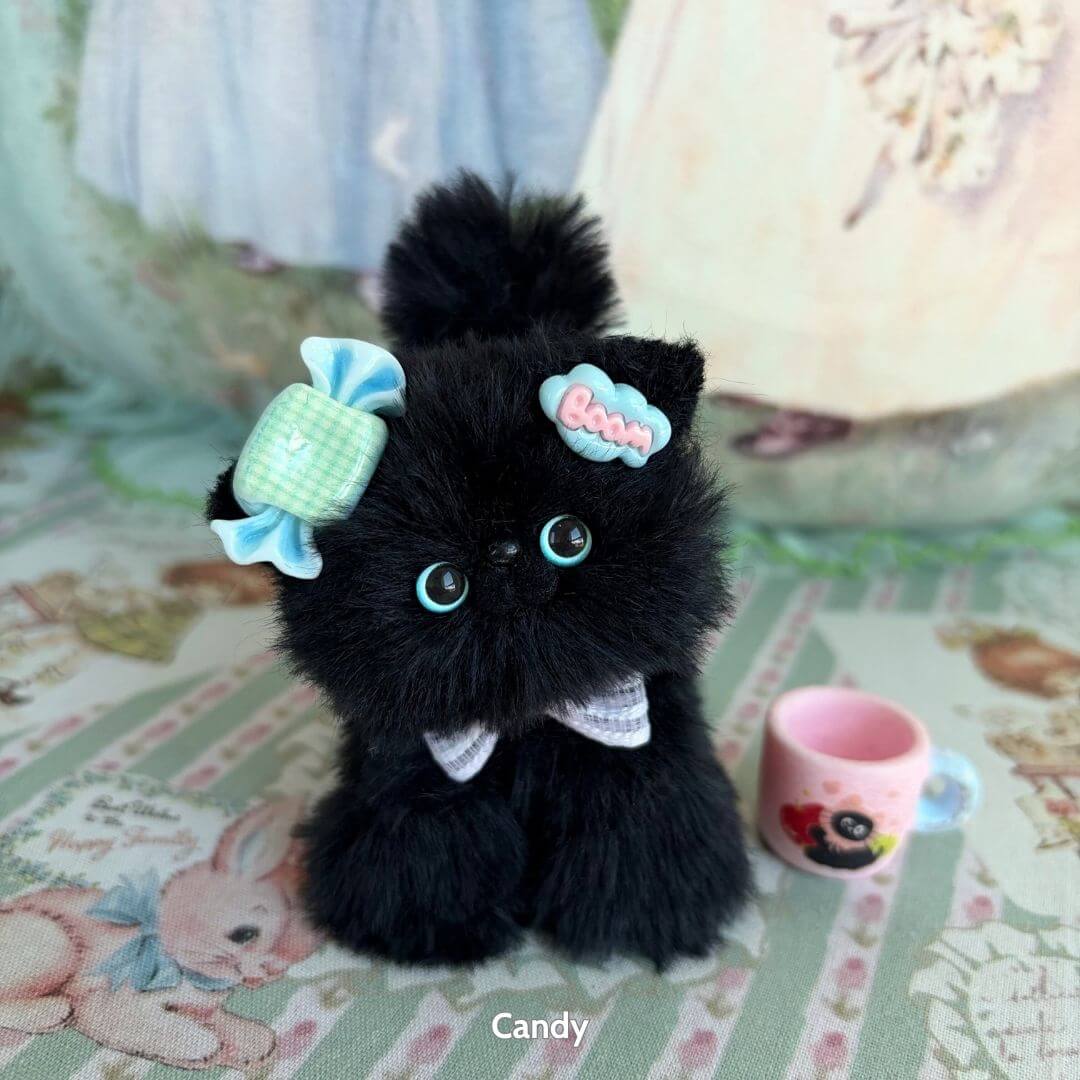 Black Kitten Collection