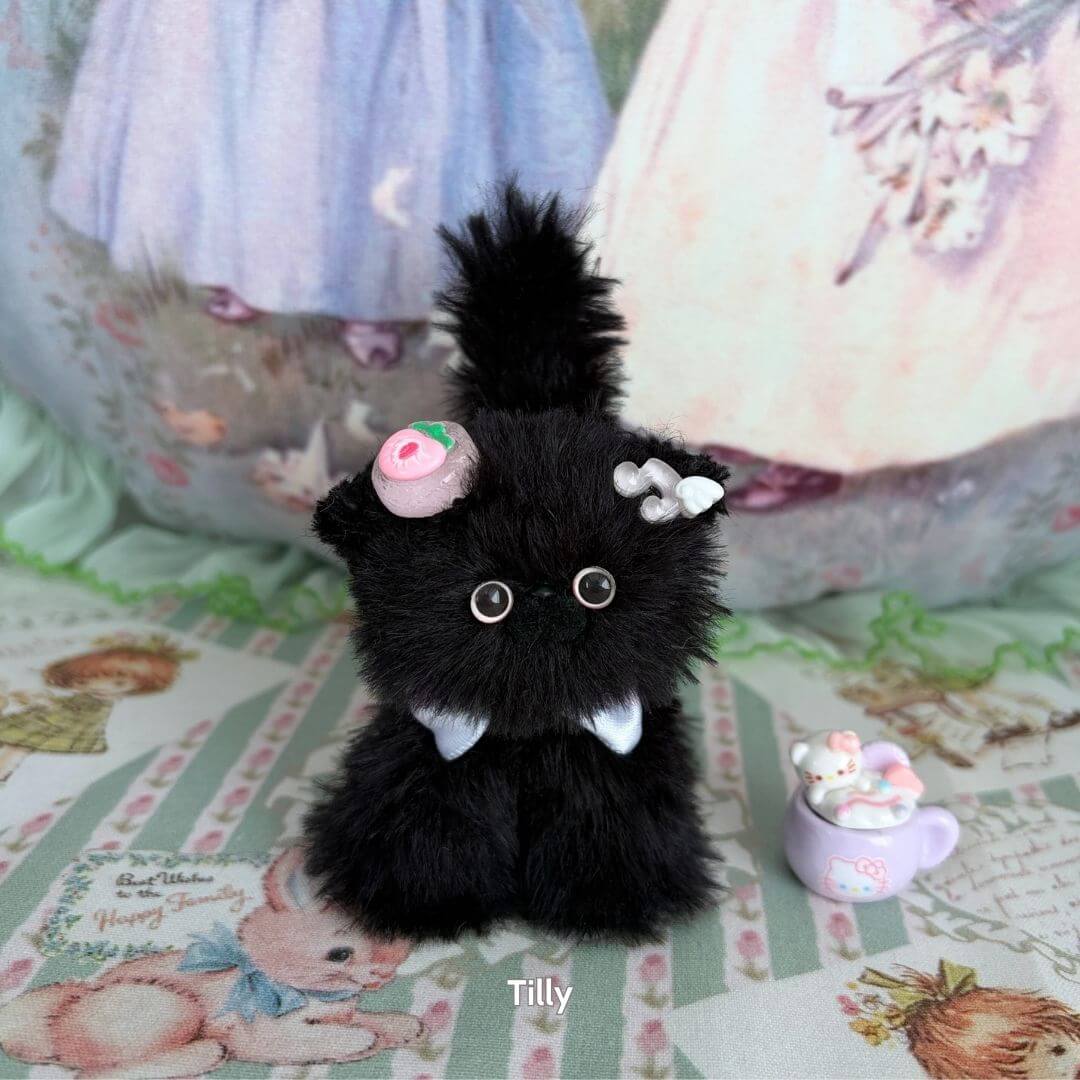 Black Kitten Collection