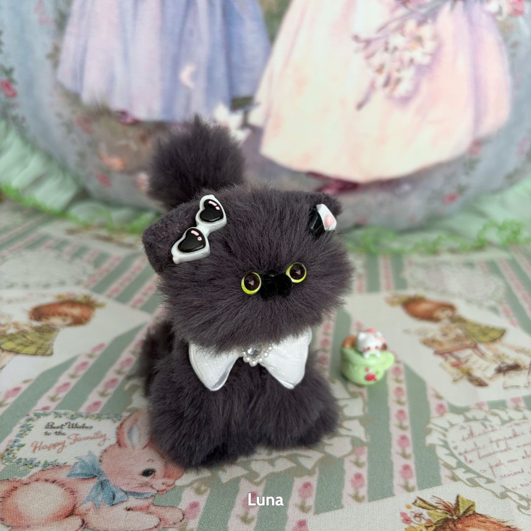 Grey Kitten Collection