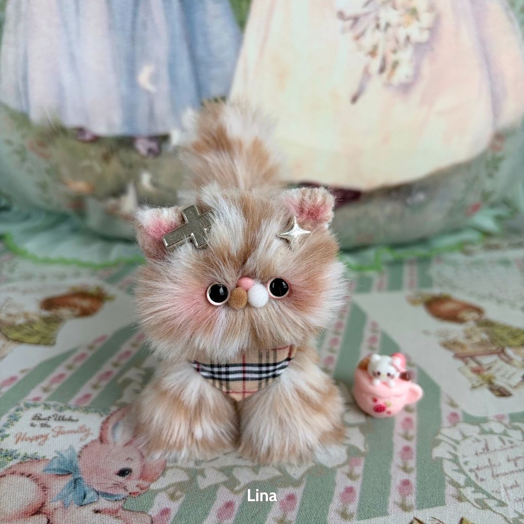 Adorable Kitten Collection