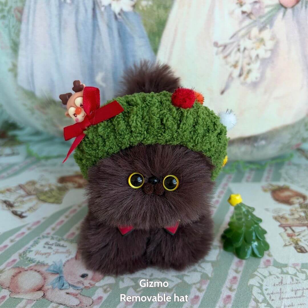 Fluffy Hoodie Kittens