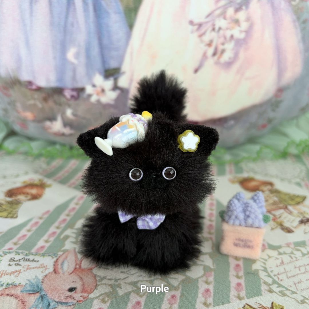 Black Kitten Collection