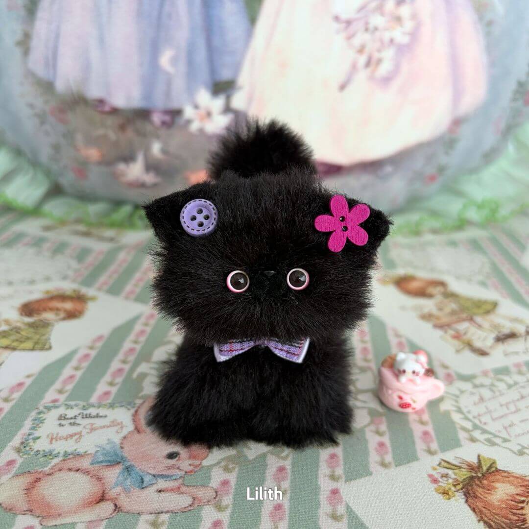 Black Kitten Collection