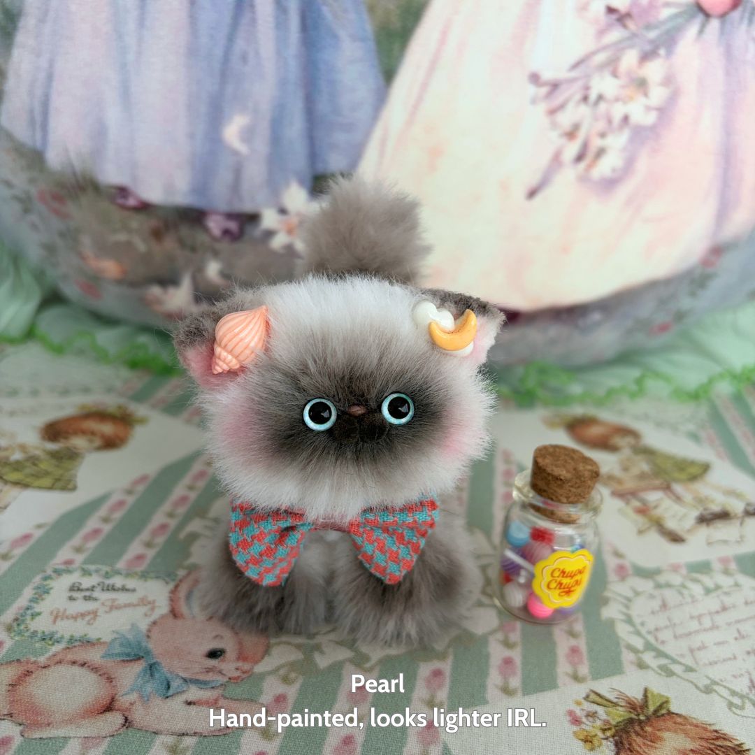 Adorable Kitten Collection
