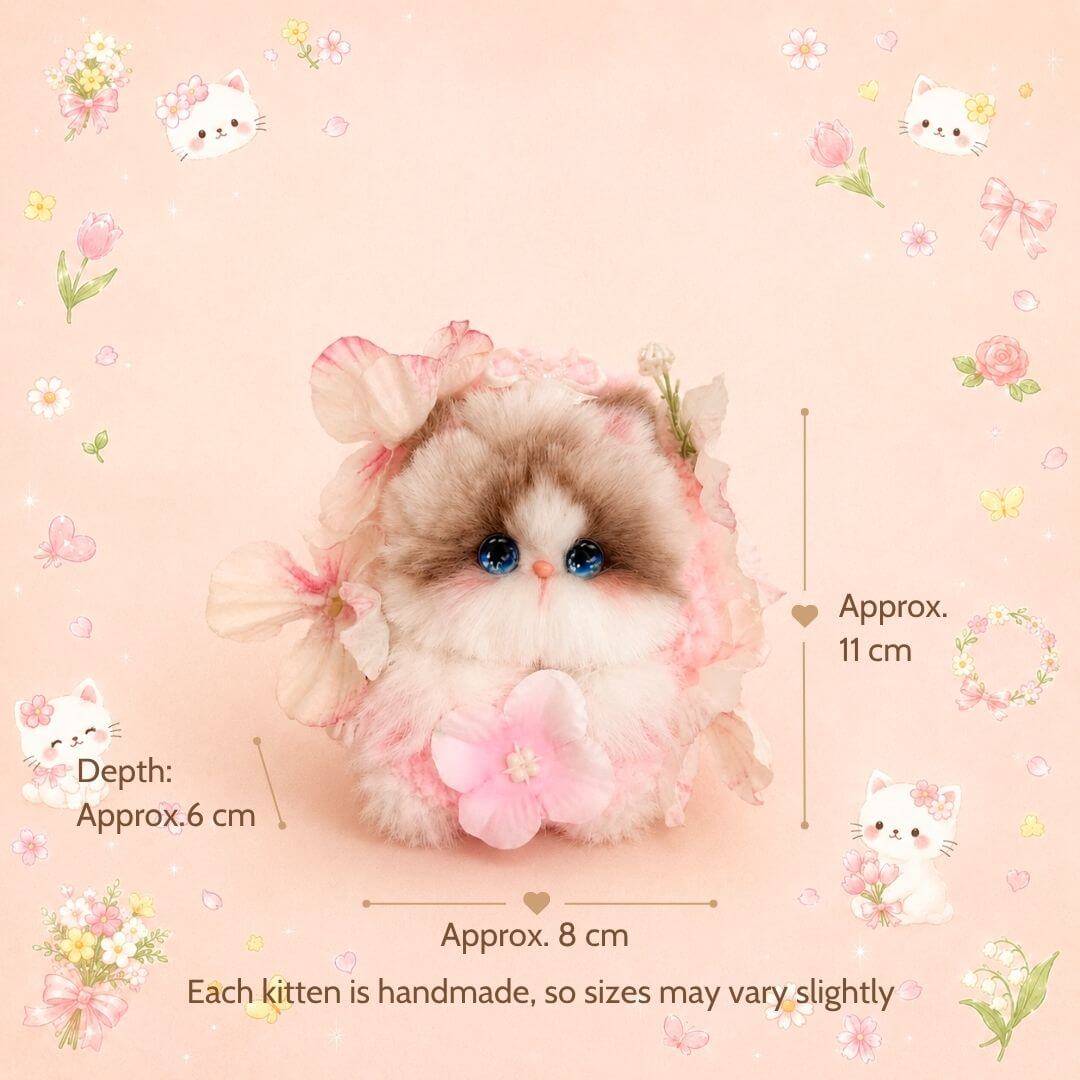 Blossom Kitten Collection
