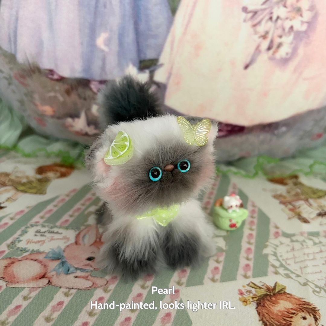 Adorable Kitten Collection