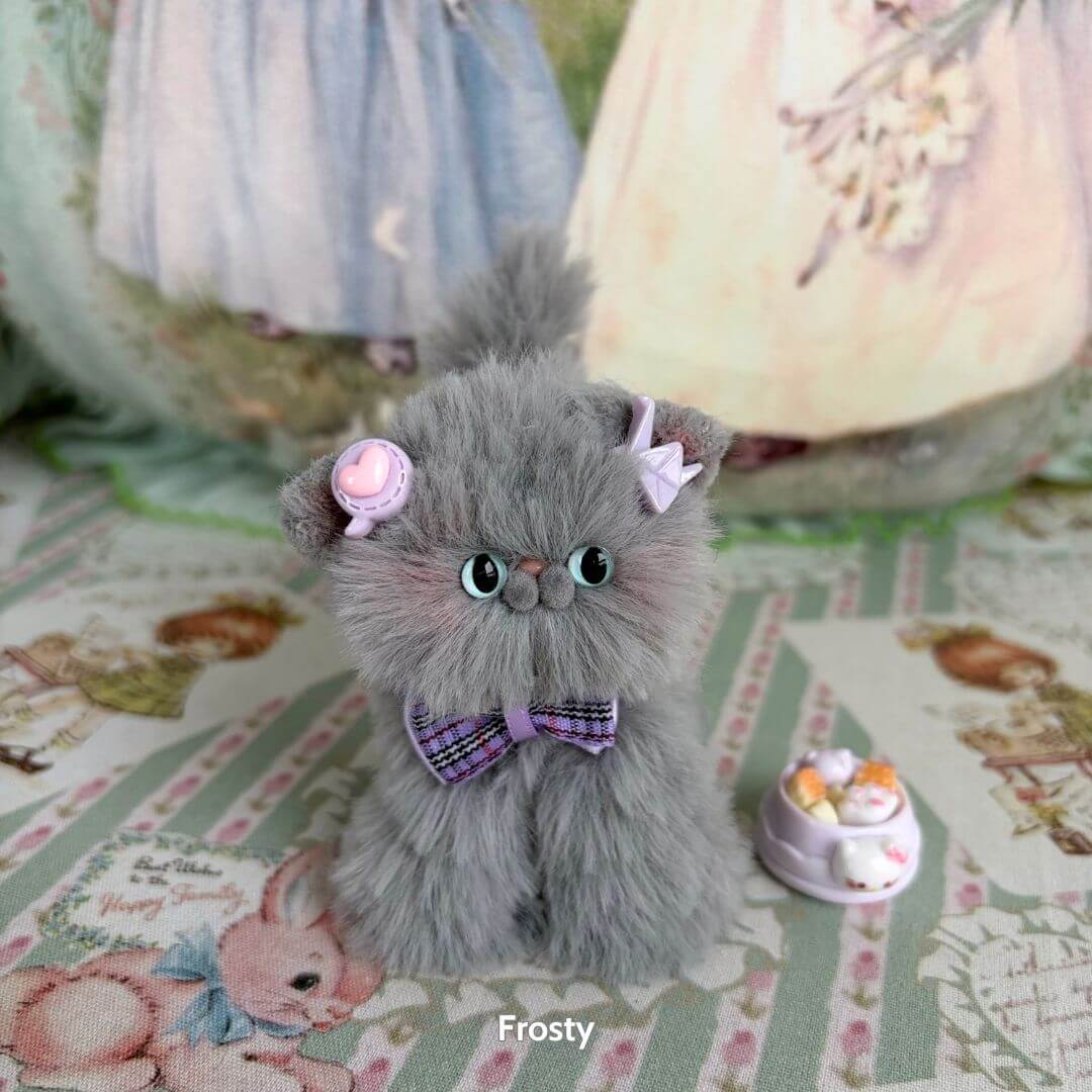 Grey Kitten Collection