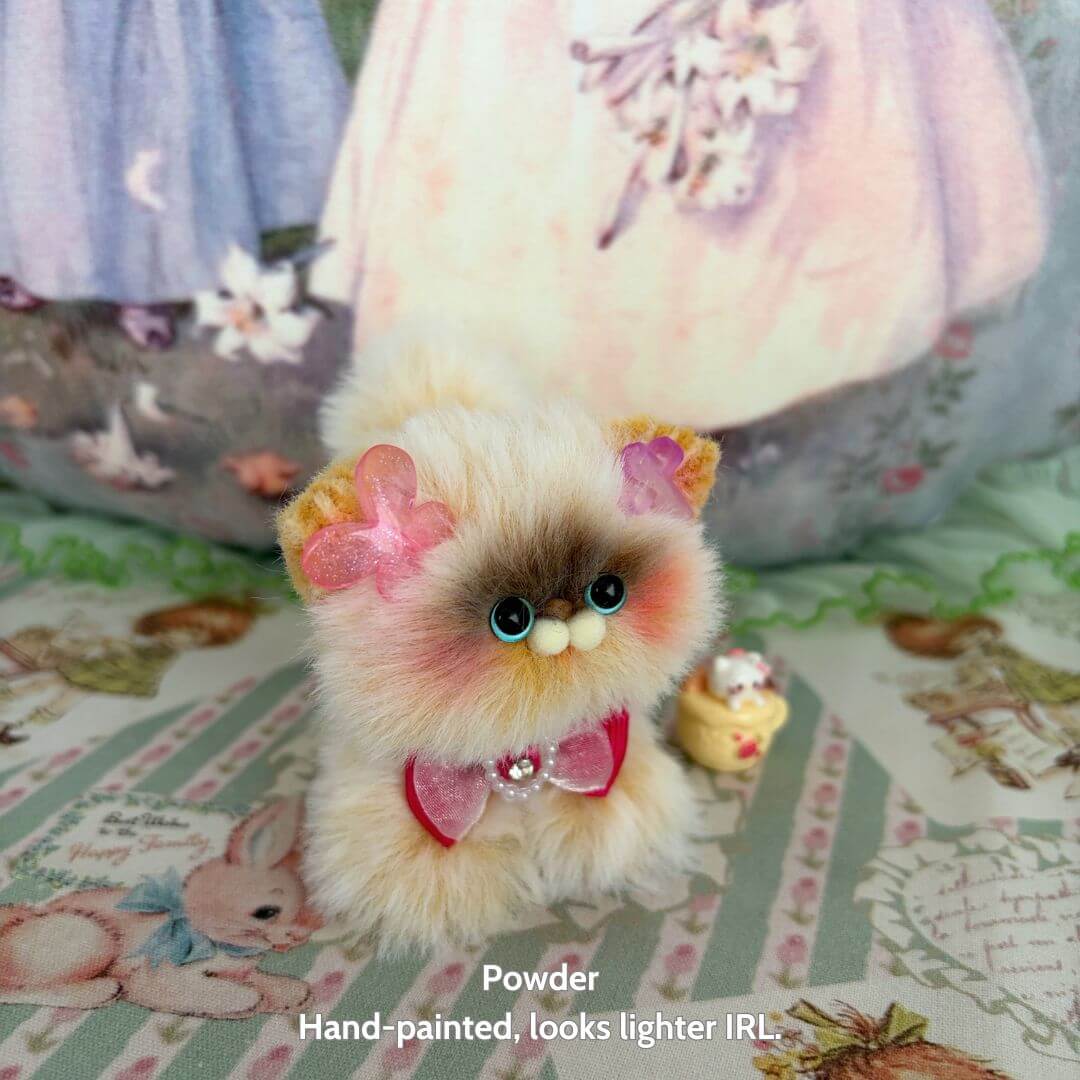 Adorable Kitten Collection